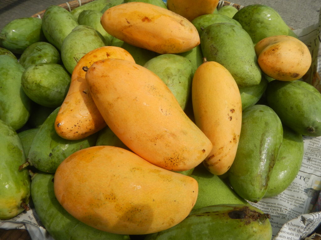 Mangues mûres de différentes variétés