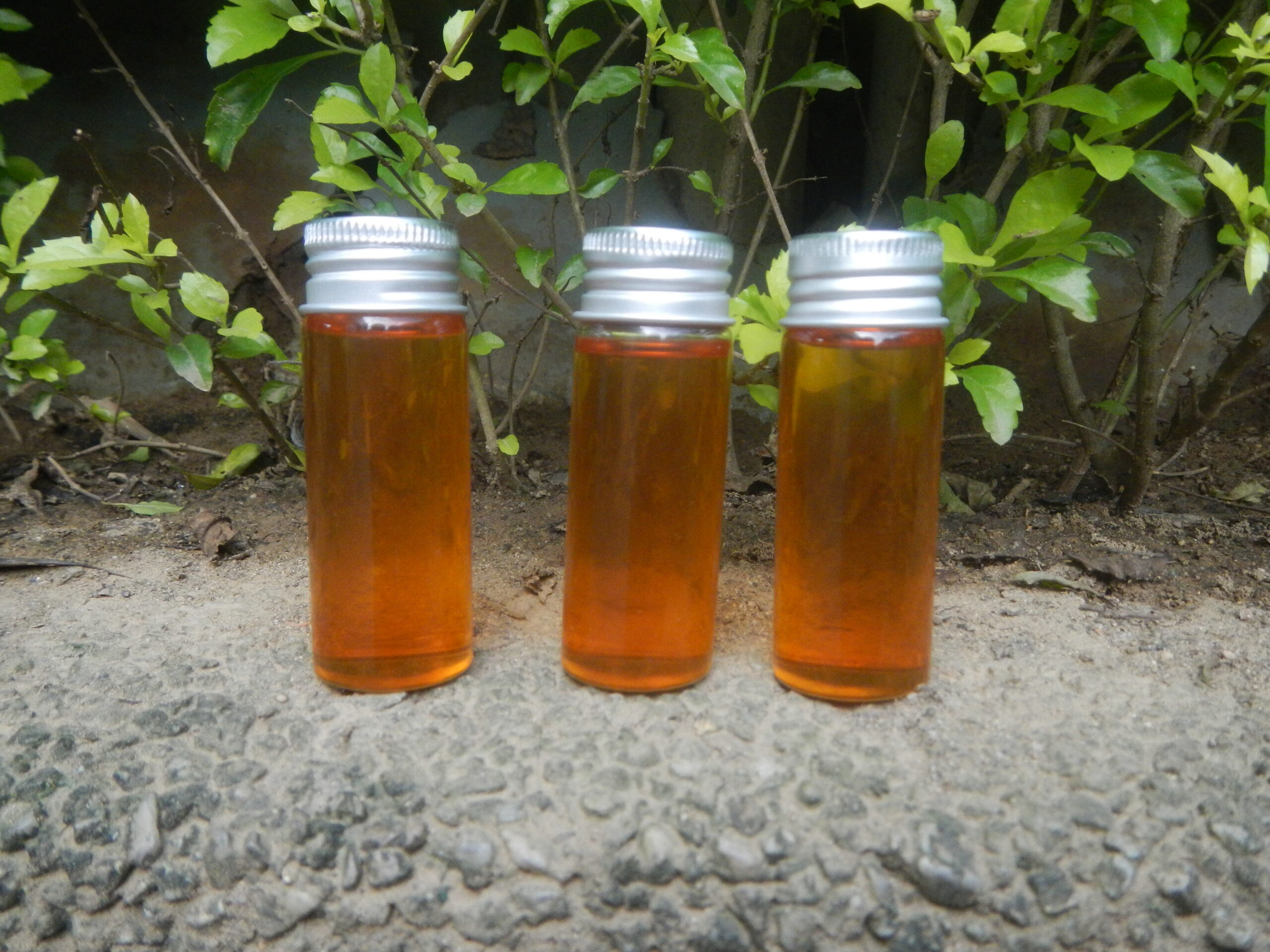 Bouteilles d’huile végétale dorée