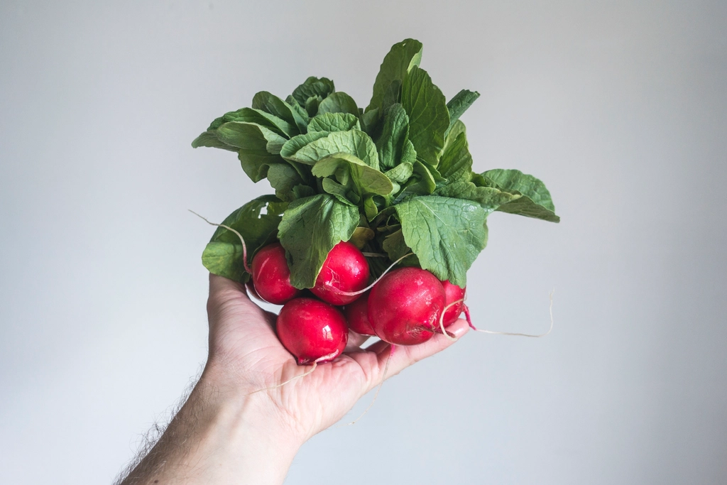 Mains tenant des légumes fraîchement récoltés