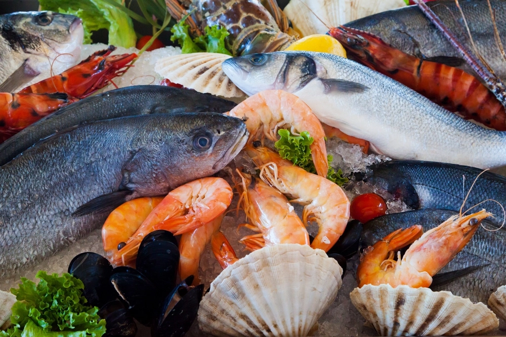 Poissons frais présentés à l’étal