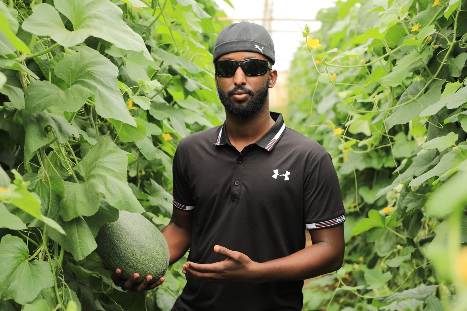 Ferme serre melon - SunuAchat