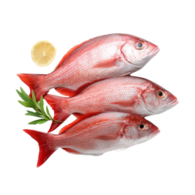 Poissonnerie